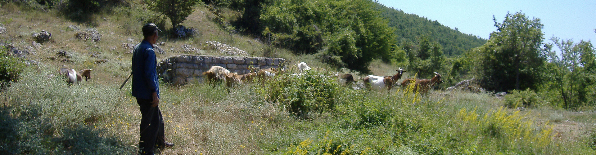 Wandelvakanties in Macedonië